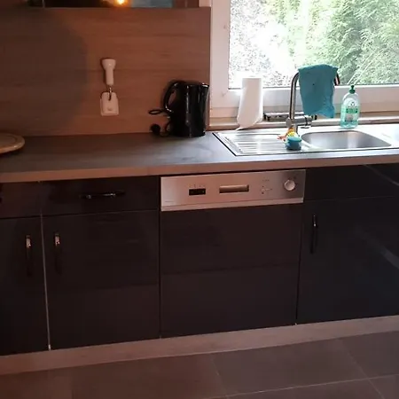 Tatil Evi Haus Rodeland Willingen (Upland)